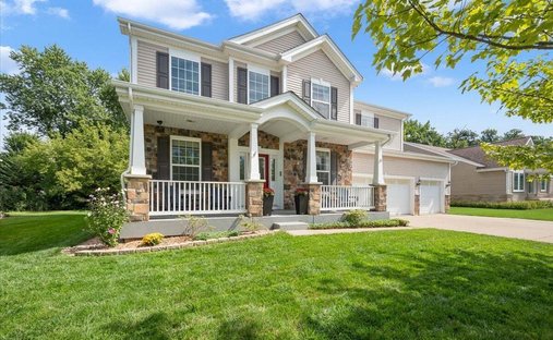 House in Lindenhurst, Illinois, United States 1