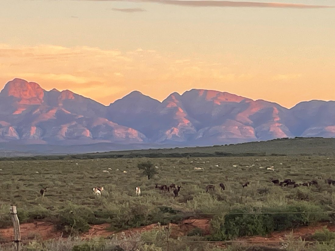 Farm Ranch in Steytlerville, Eastern Cape, South Africa 1 - 18932726