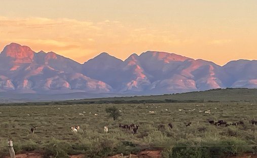 Farm Ranch in Steytlerville, Eastern Cape, South Africa 1