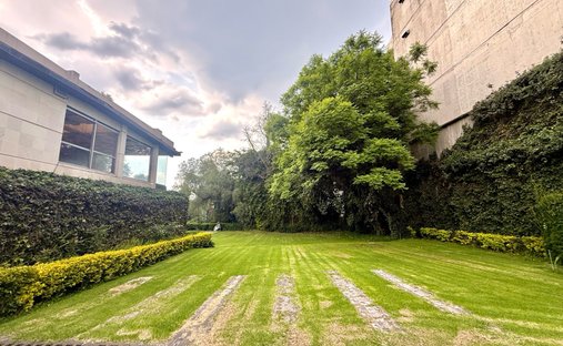 House in Mexico City, Mexico 1