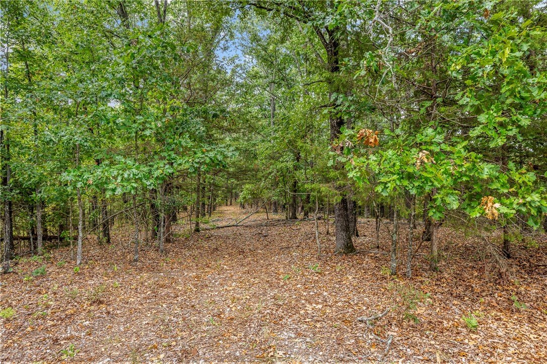 Land in Rogers, Arkansas, United States 5 - 18934461
