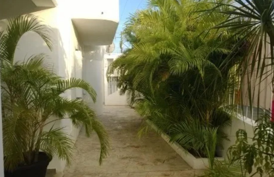 Playa del Carmen, Quintana Roo, Mexico 5 - 16768419