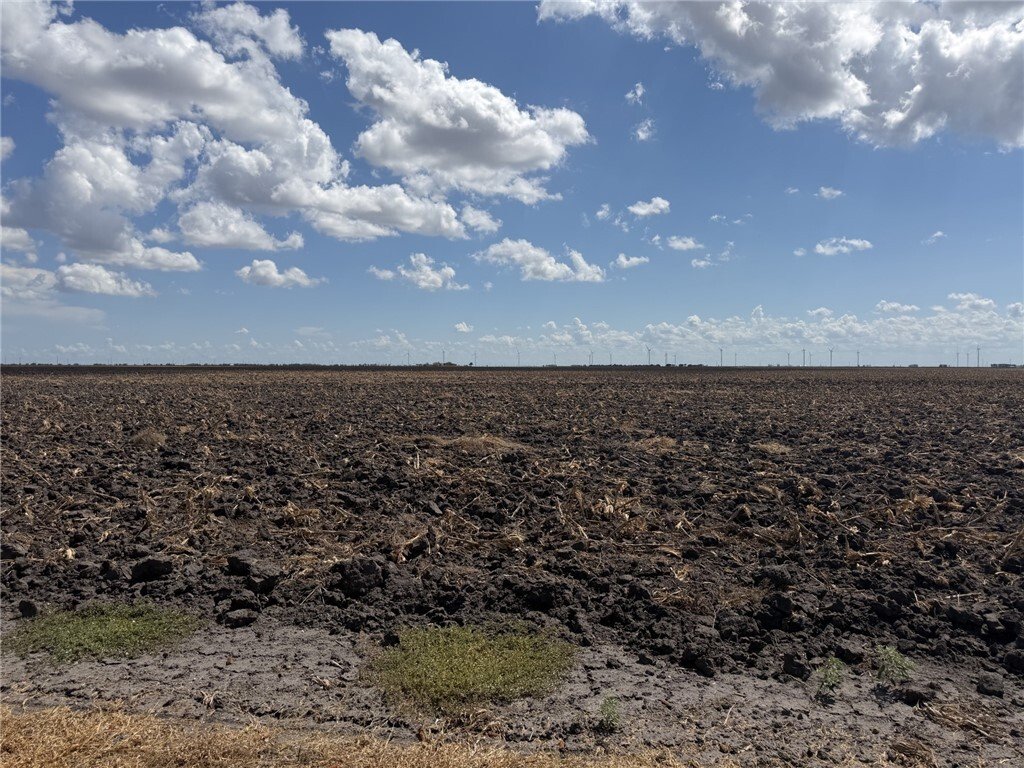 Farm Ranch in Del Sol-Loma Linda, Texas, United States 2 - 18934477