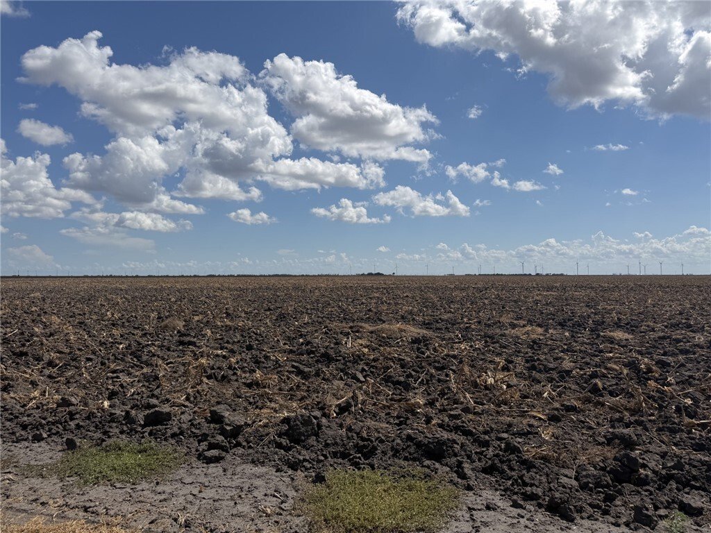 Farm Ranch in Del Sol-Loma Linda, Texas, United States 4 - 18934477