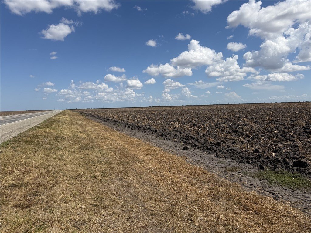 Farm Ranch in Del Sol-Loma Linda, Texas, United States 5 - 18934477