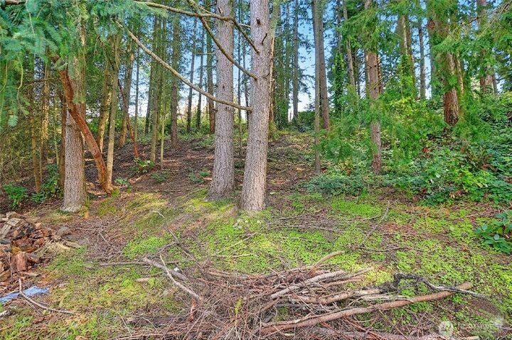 Land in Edmonds, Washington, United States 3 - 18936611