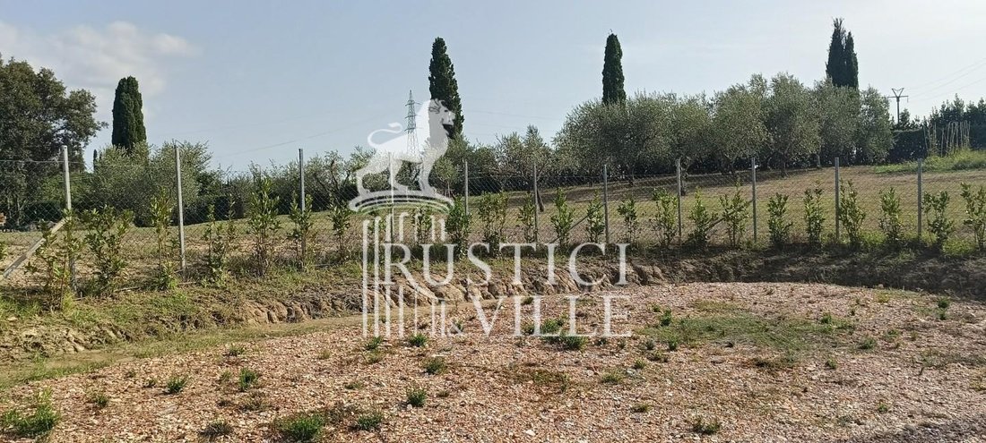 Farm Ranch in Fauglia, Tuscany, Italy 3 - 18933513