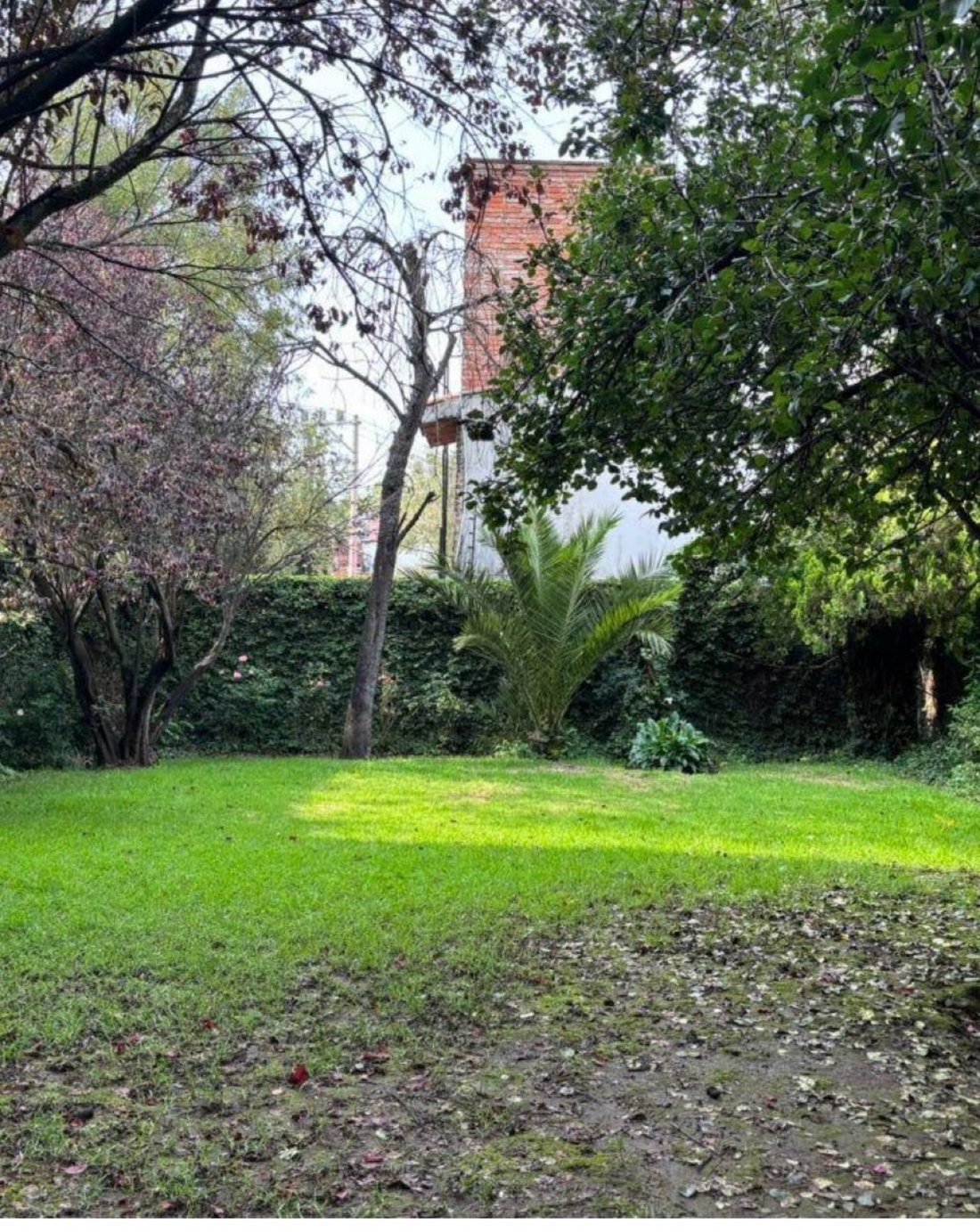 House in Mexico City, Mexico 1 - 18933486