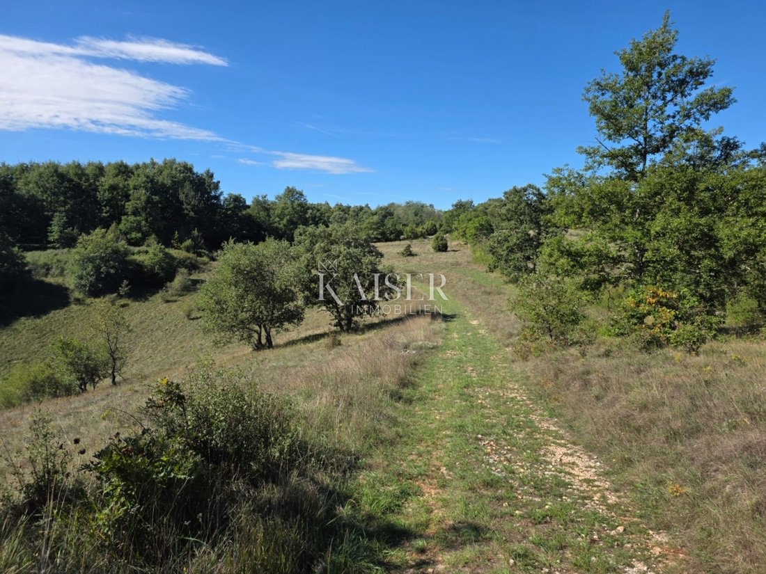 Terreno a Grad Pazin, Regione istriana, Croazia 2 - 13587058