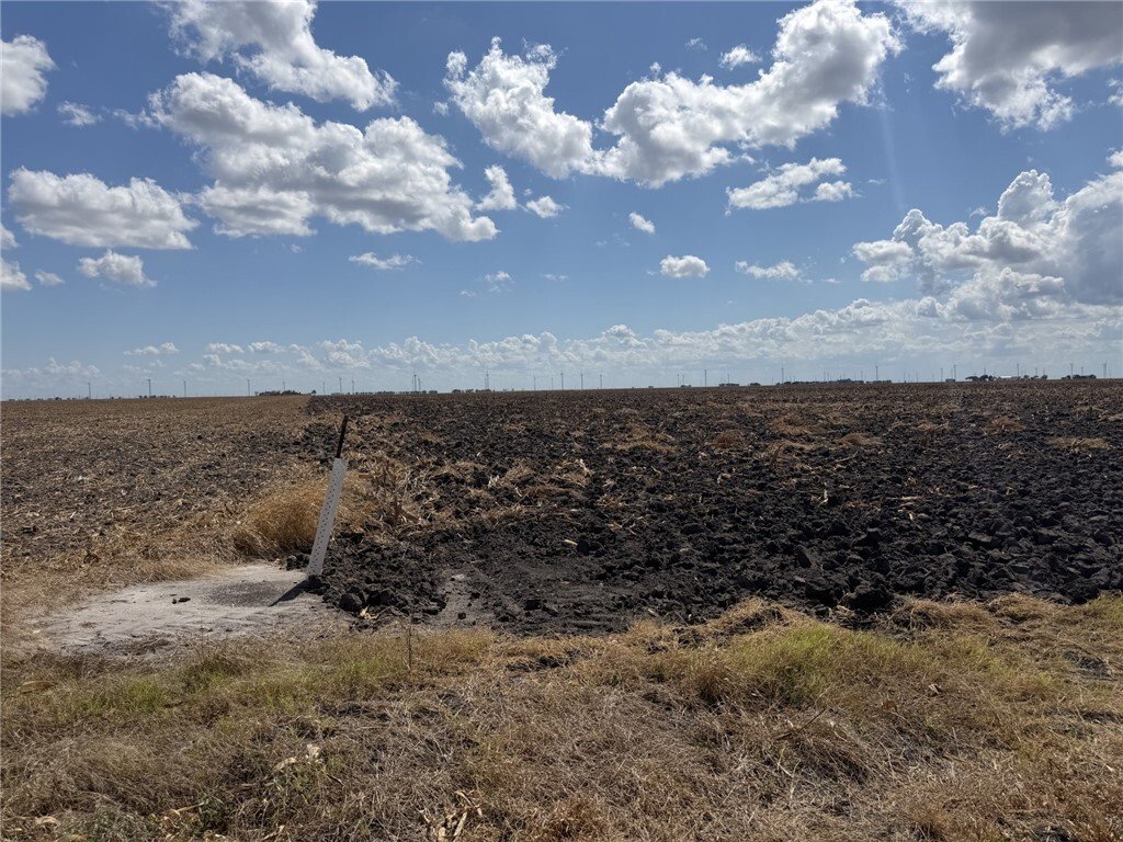 Farm Ranch in Del Sol-Loma Linda, Texas, United States 1 - 18934477