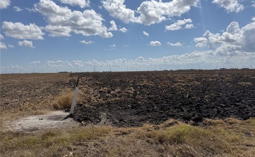 Farm Ranch in Del Sol-Loma Linda, Texas, United States 1