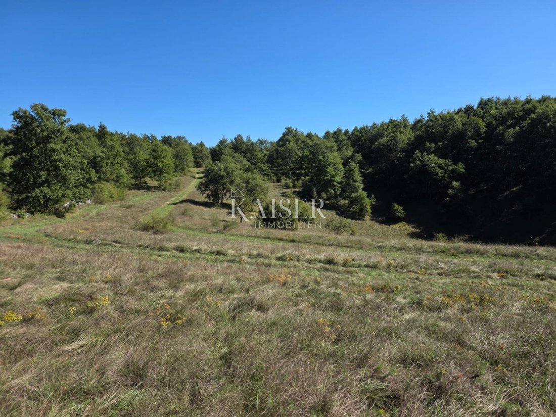 Terreno a Grad Pazin, Regione istriana, Croazia 1 - 13587058