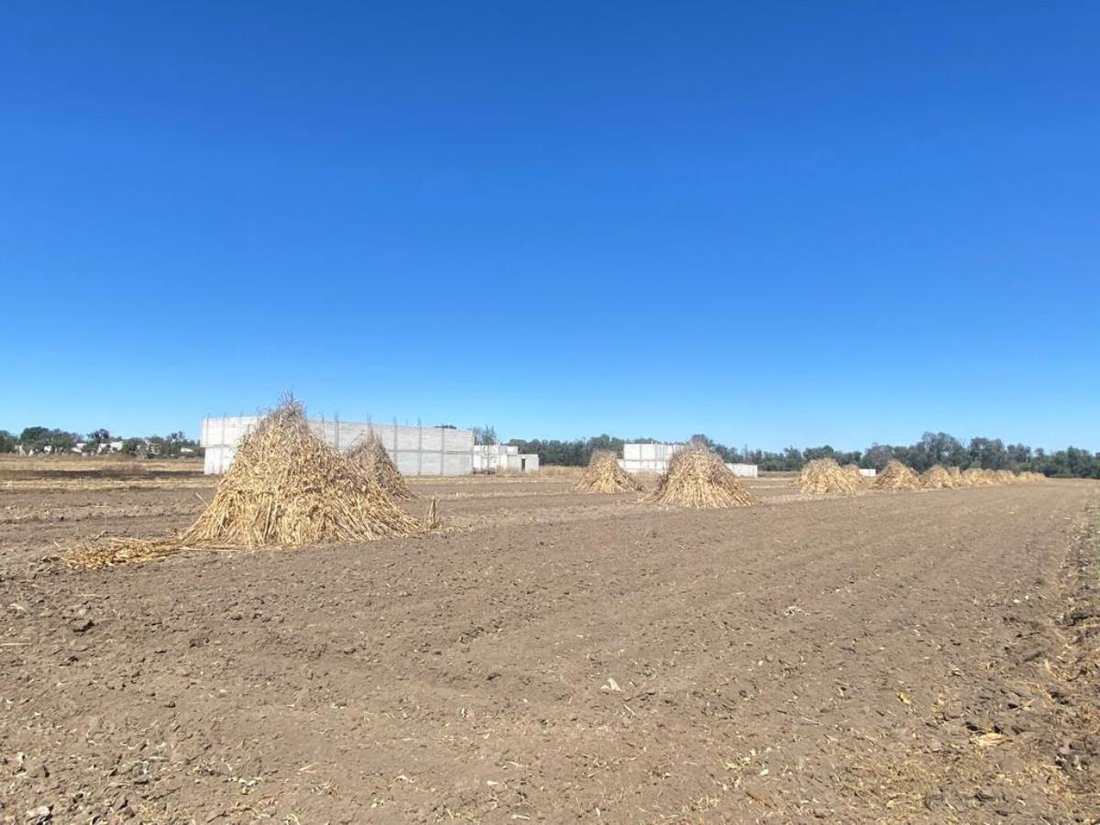 Land in Almecatla, Puebla, Mexico 5 - 18933434