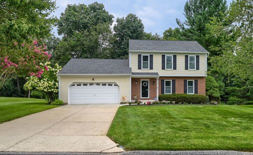House in Owings Mills, Maryland, United States 1