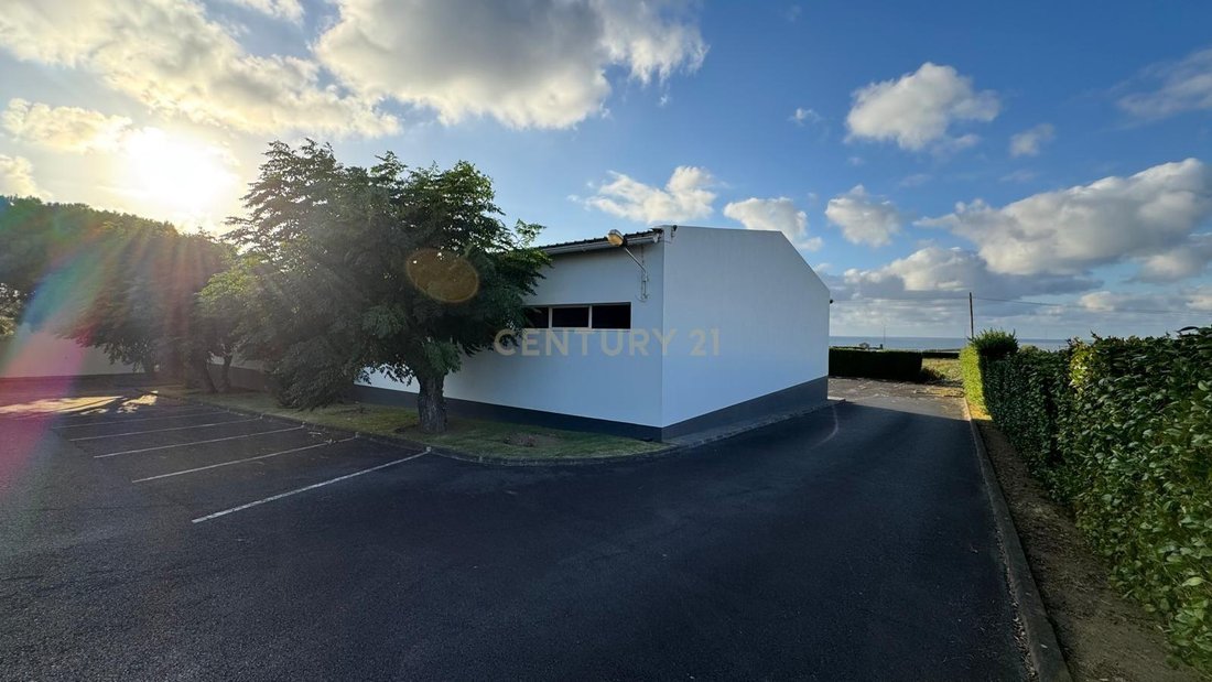 Ribeira Seca, Azores, Portugal 2 - 18553040