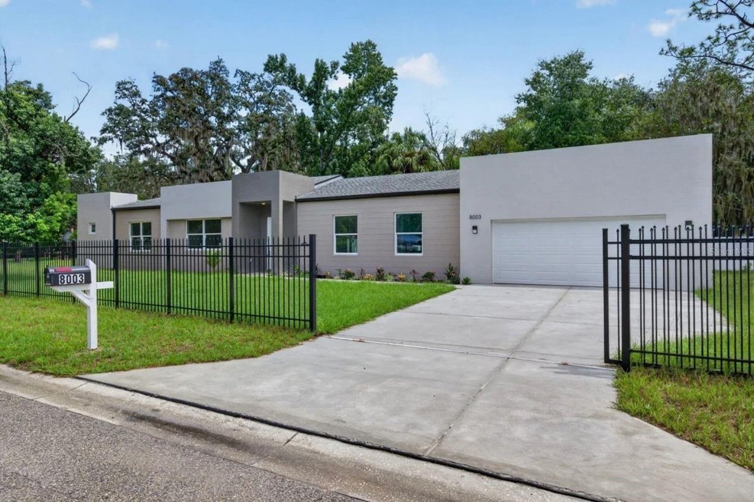 House in Tampa, Florida, United States 5 - 18937051