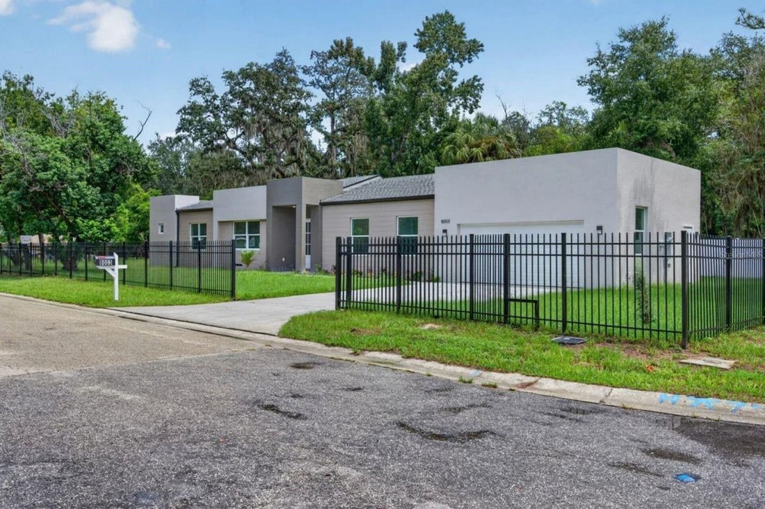 House in Tampa, Florida, United States 3 - 18937051