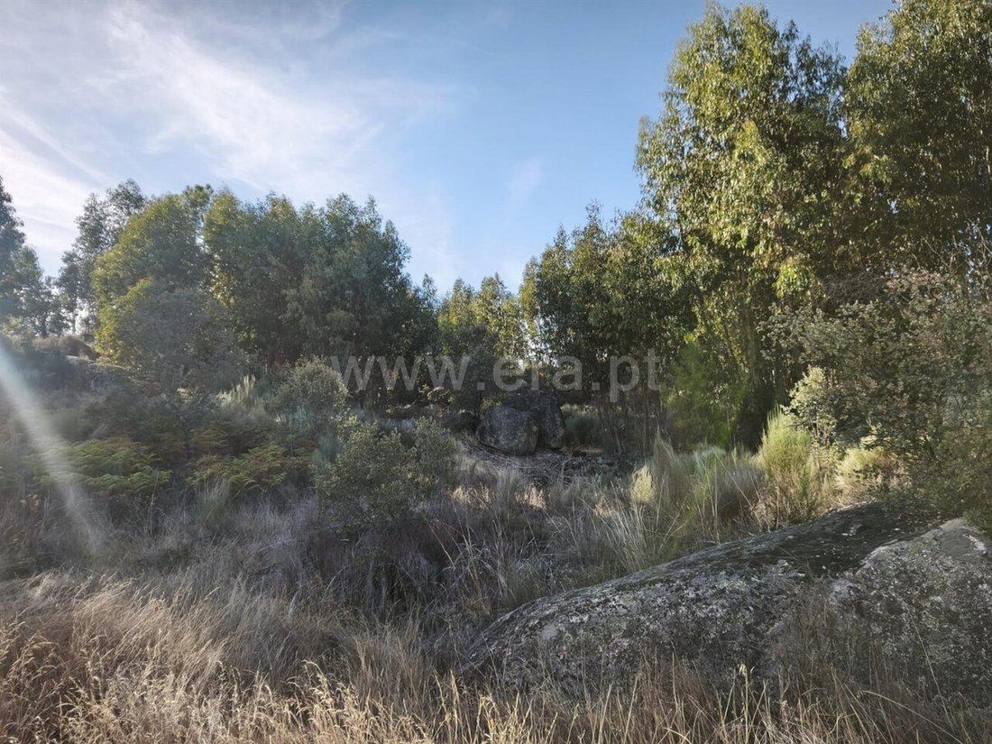 Land in Orca, Castelo Branco District, Portugal 3 - 18937300