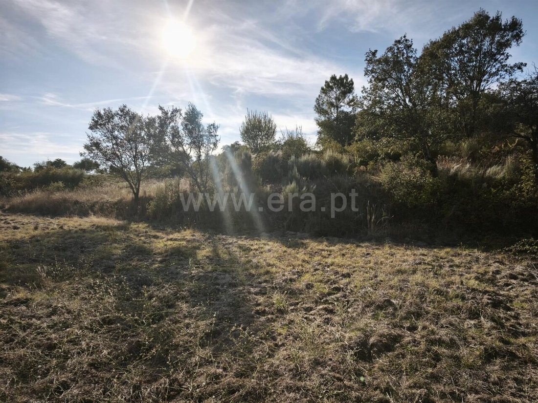 Land in Orca, Castelo Branco District, Portugal 5 - 18937300