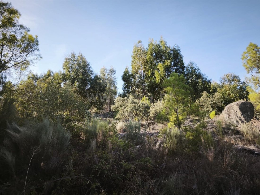Land in Orca, Castelo Branco District, Portugal 2 - 18937300