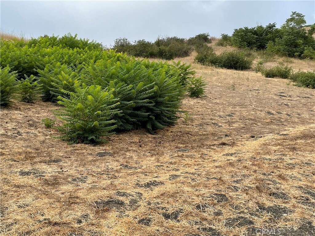 Land in Los Angeles, California, United States 3 - 18937101