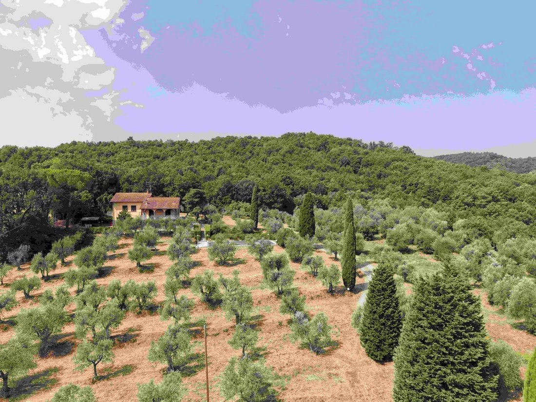 Villa in Monte San Savino, Tuscany, Italy 3 - 18936759