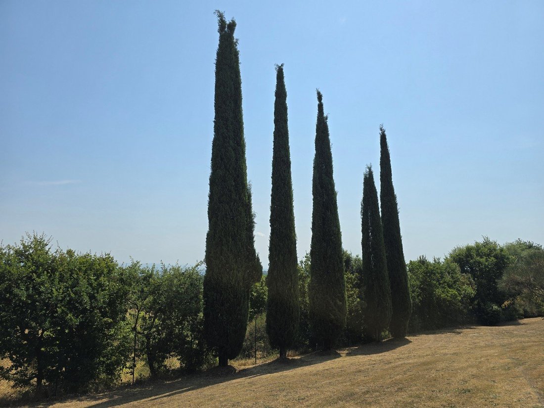 Villa in Sinalunga, Tuscany, Italy 5 - 18936740