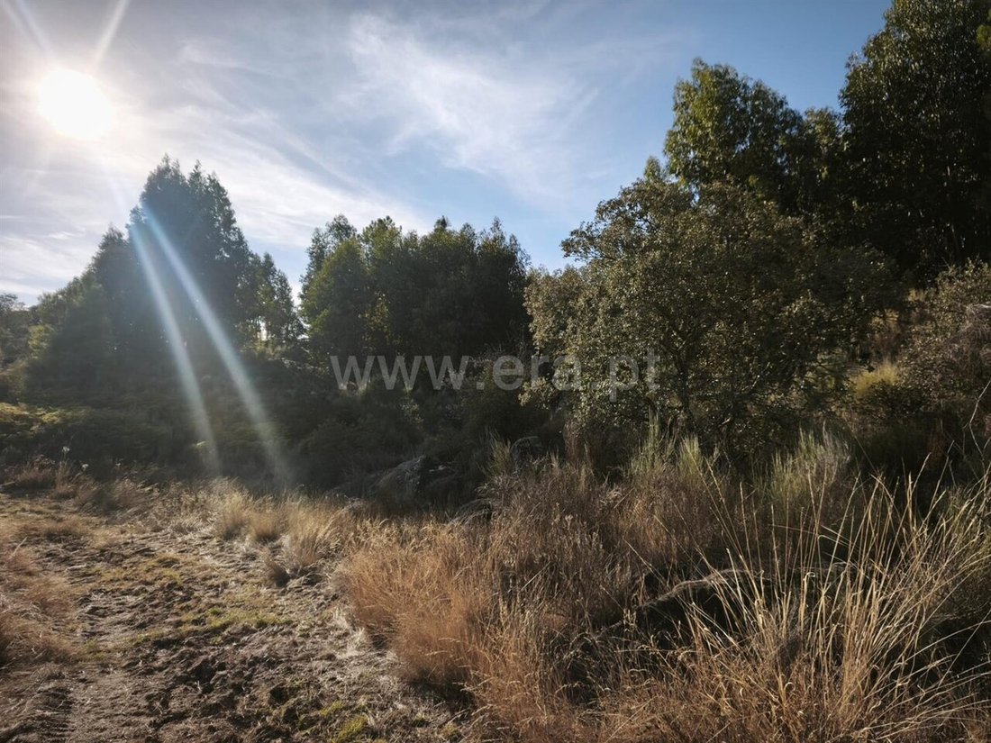 Land in Orca, Castelo Branco District, Portugal 4 - 18937300
