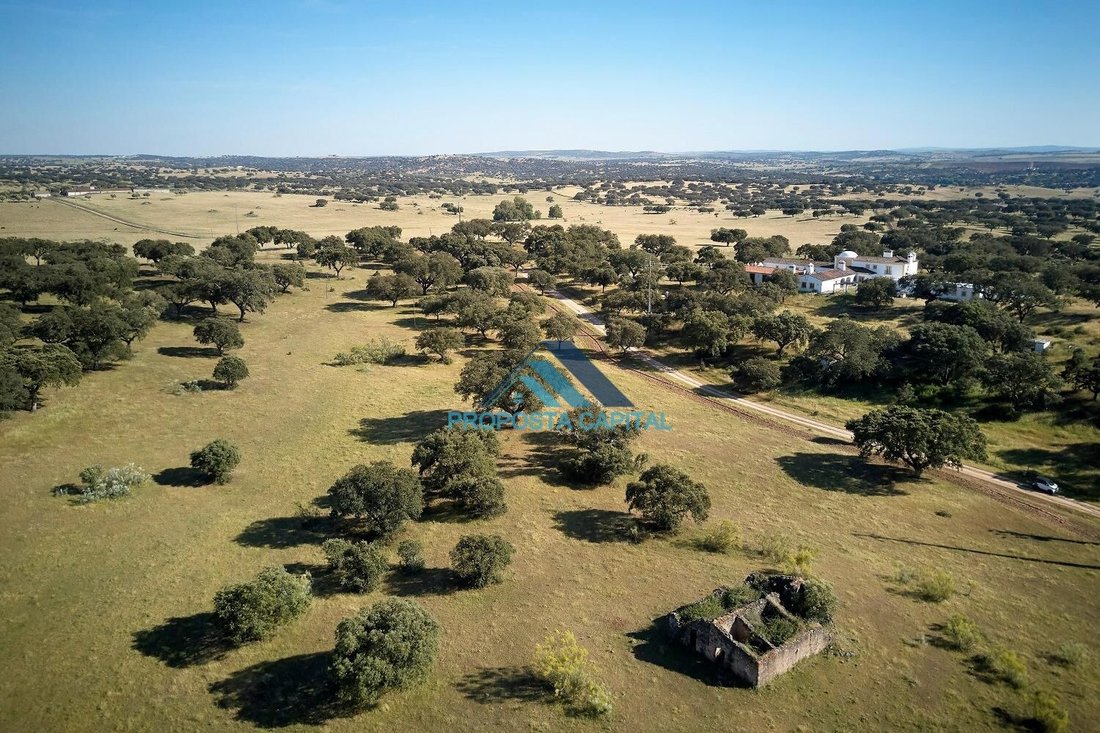 Country House in Assumar, Portalegre District, Portugal 4 - 18936797