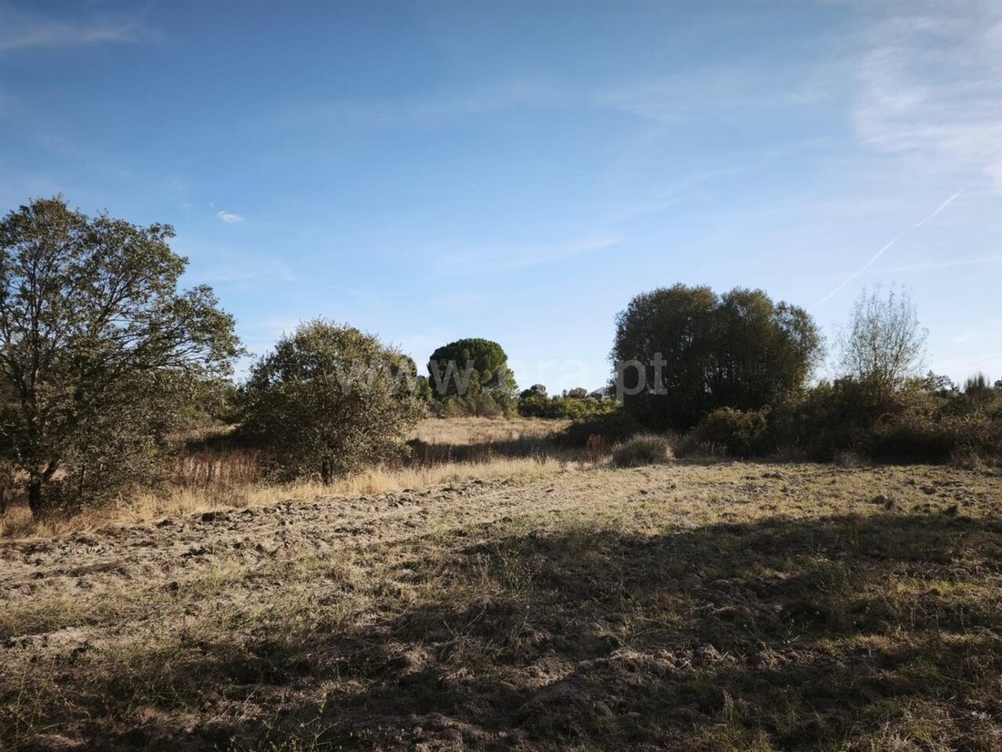 Land in Orca, Castelo Branco District, Portugal 1 - 18937300