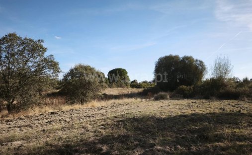 Land in Orca, Castelo Branco District, Portugal 1