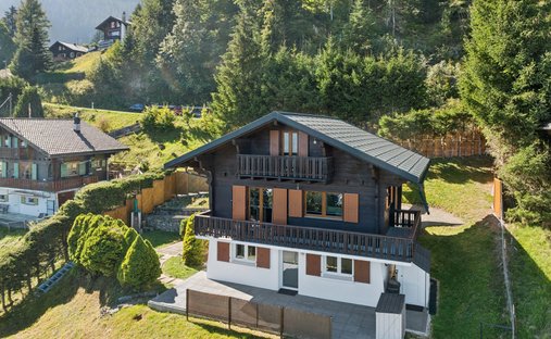 House in Massongex, Valais/Wallis, Switzerland 1