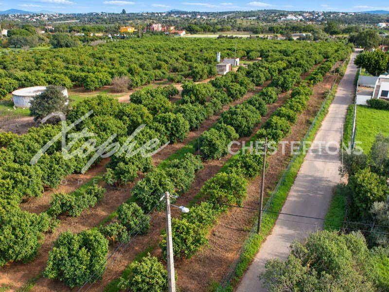 Autres à Quarteira, Algarve, Portugal 4 - 17240211