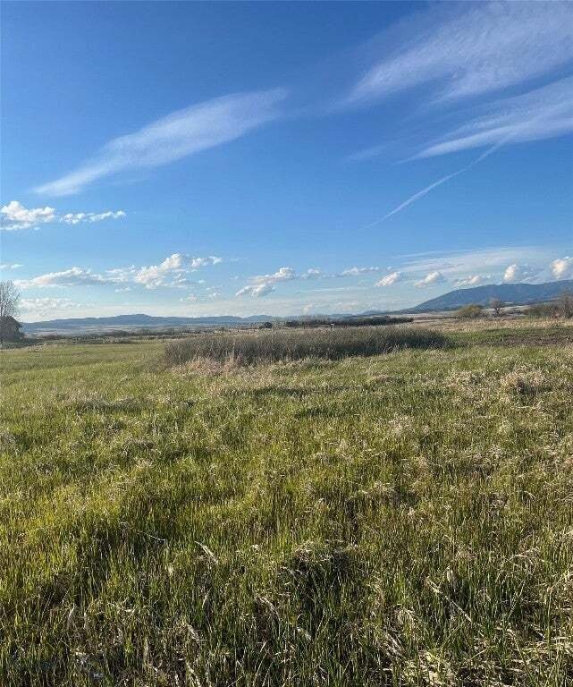 Terrain à Belgrade, Montana, États-Unis 3 - 14258044