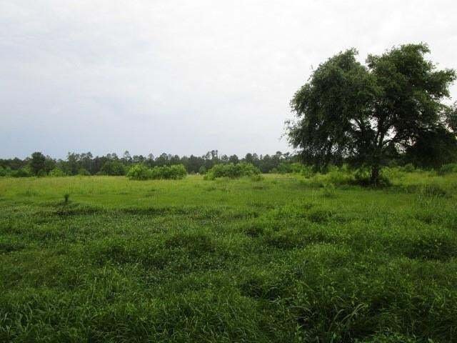 Land in Pearl River, Louisiana, United States 5 - 14351344
