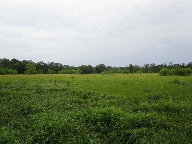 Land in Pearl River, Louisiana, United States 2 - 14351344