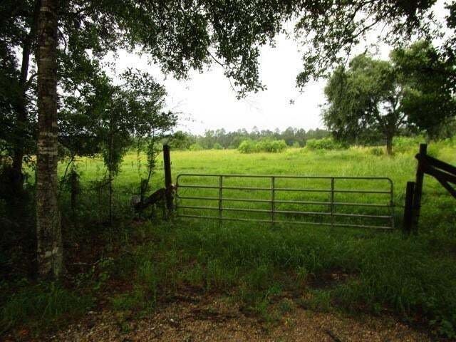 Land in Pearl River, Louisiana, United States 1 - 14351344