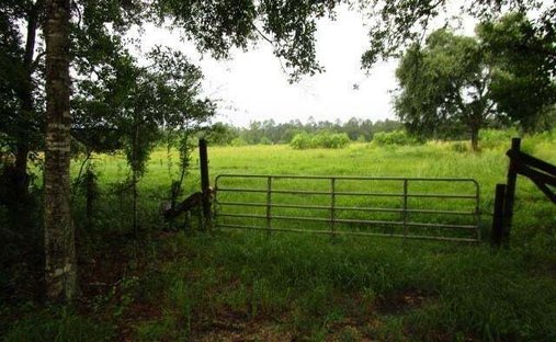 Land in Pearl River, Louisiana, United States 1