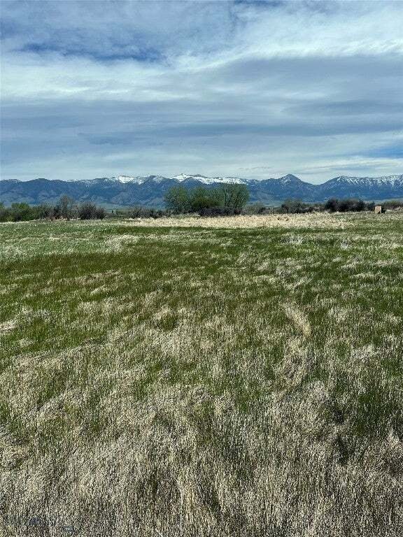 Terrain à Belgrade, Montana, États-Unis 2 - 14258044