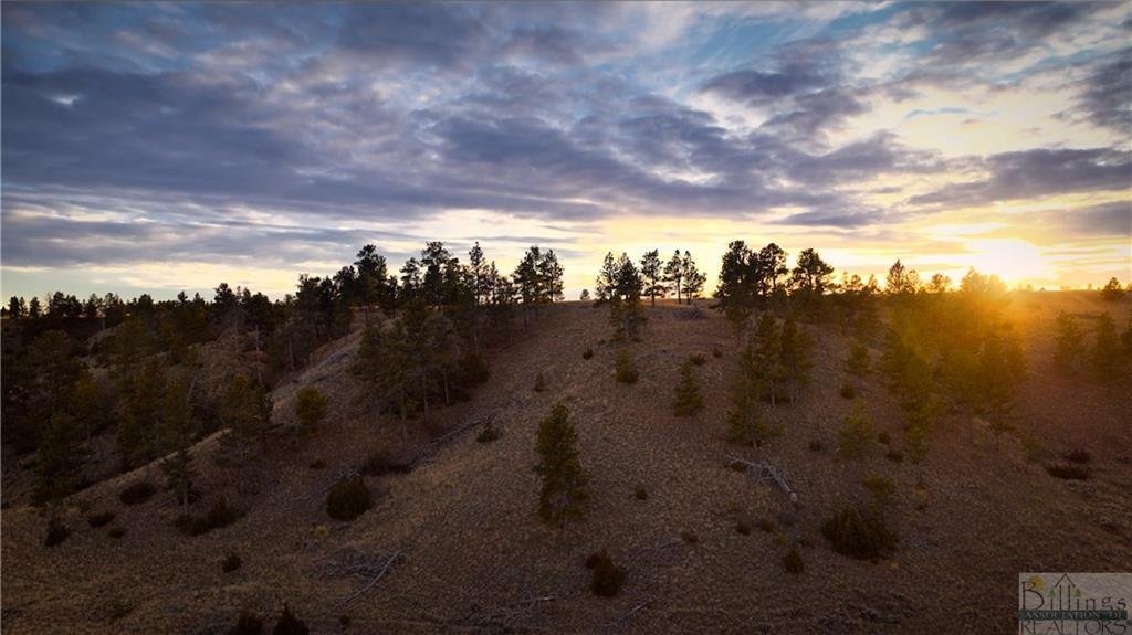 Land in Billings, Montana, United States 5 - 13840415