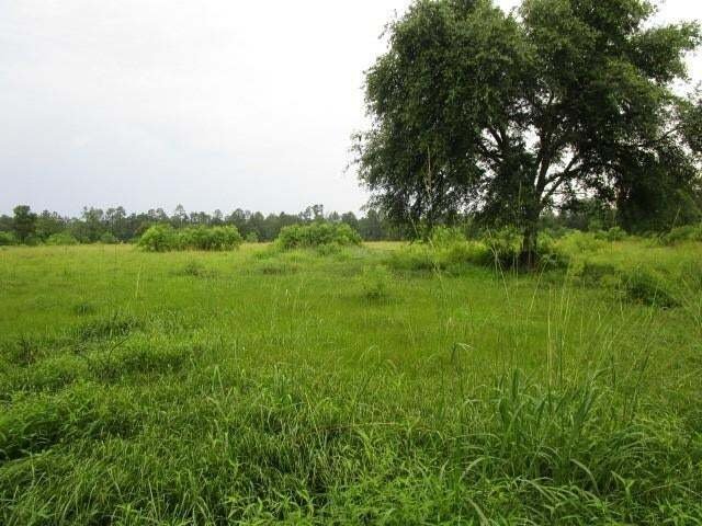Land in Pearl River, Louisiana, United States 3 - 14351344