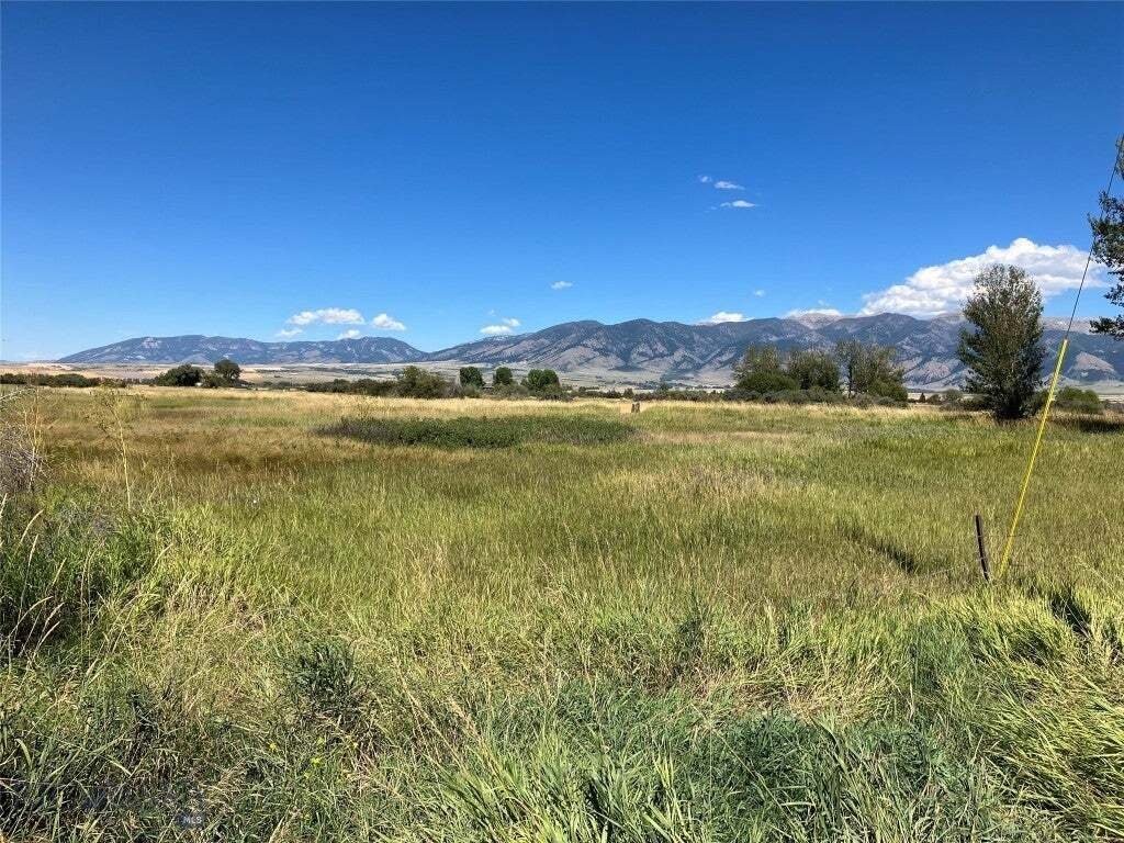 Terrain à Belgrade, Montana, États-Unis 1 - 14258044
