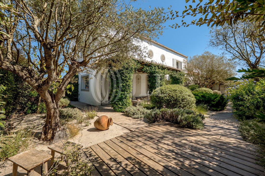 House in Comporta, Setubal, Portugal 4 - 18937951