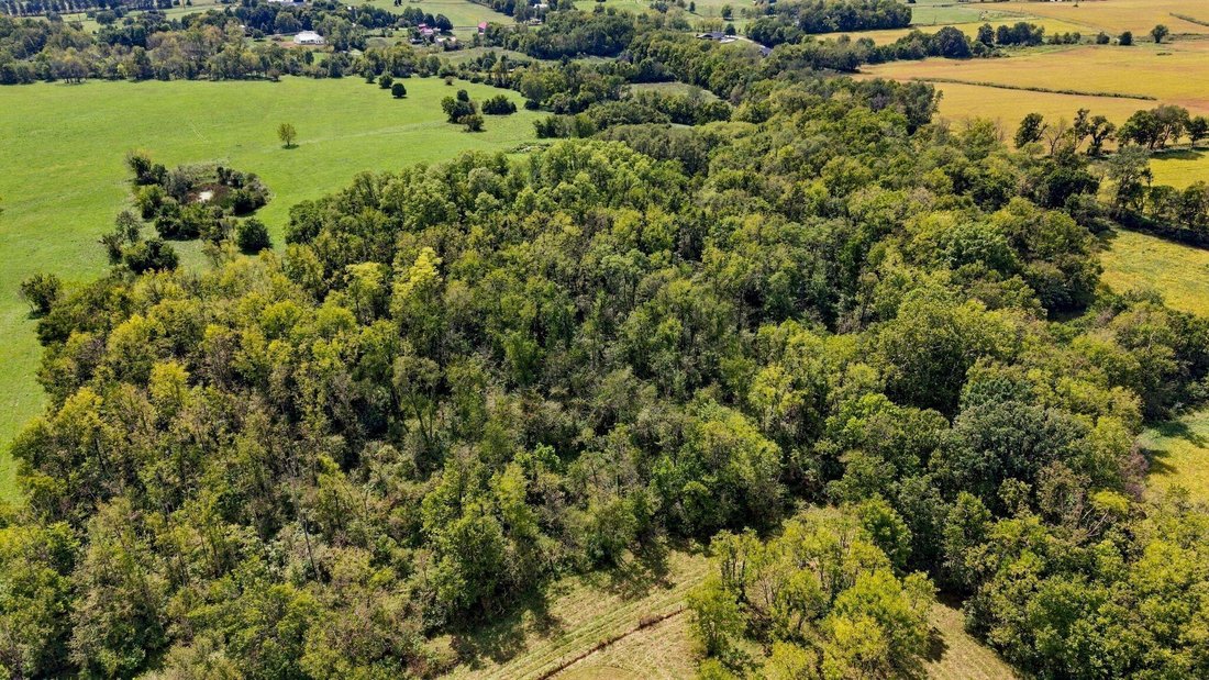 Land in Paris, Kentucky, United States 4 - 18938122