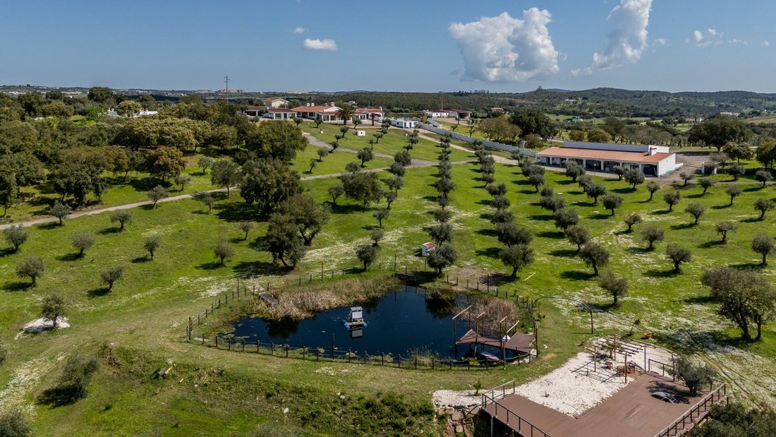Farm Ranch in Estremoz (Santa Maria e Santo Andre), Évora District, Portugal 1 - 16975400