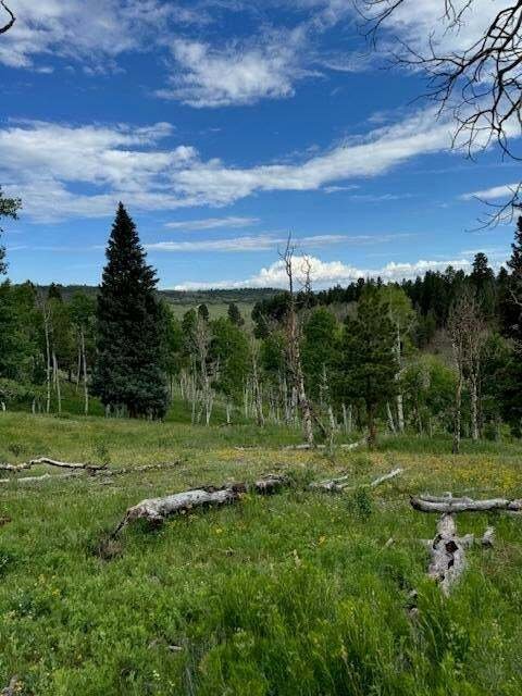 Land in Placerville, Colorado, United States 5 - 14435219