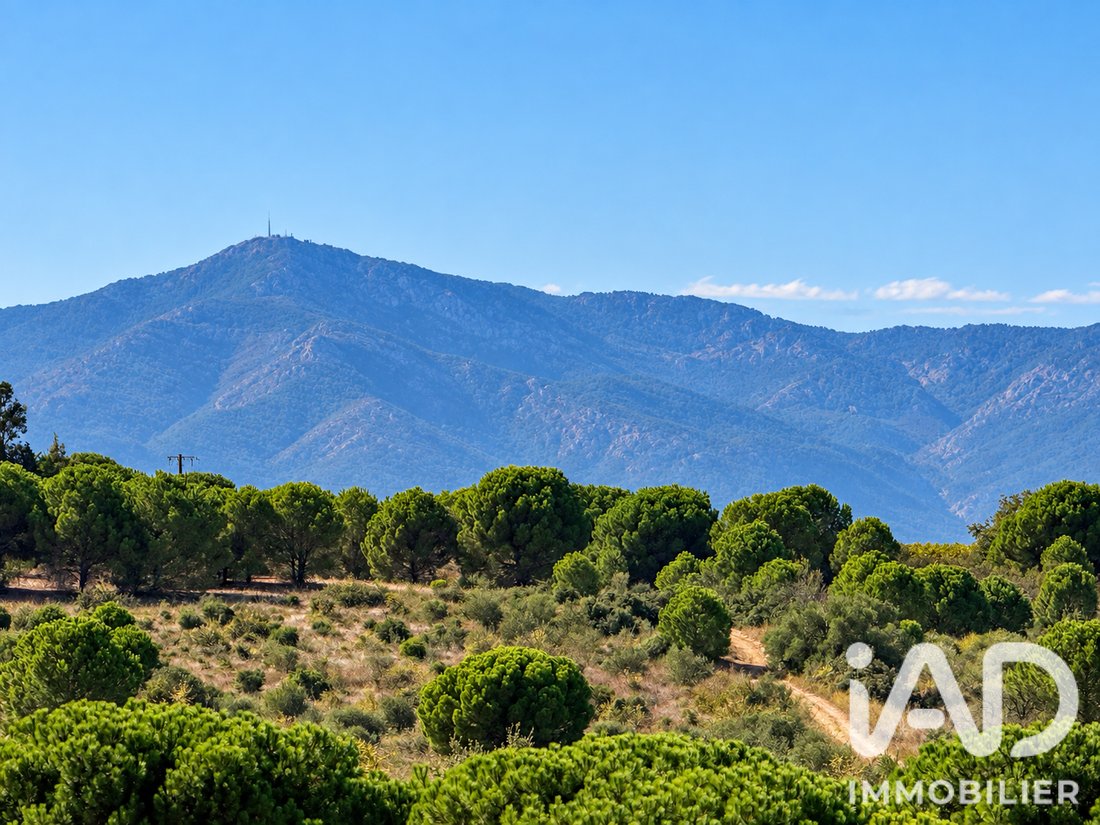 House in Village Sud, Canet-en-Roussillon, France 3 - 18938923