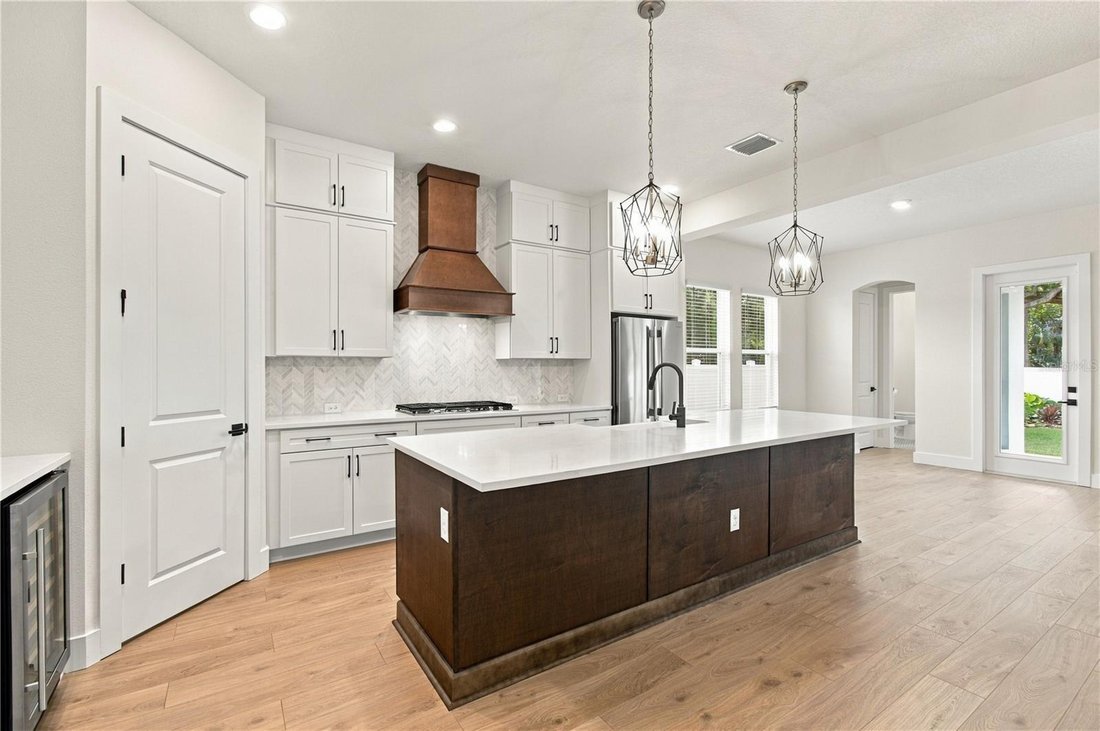 House in Tampa, Florida, United States 4 - 17707666