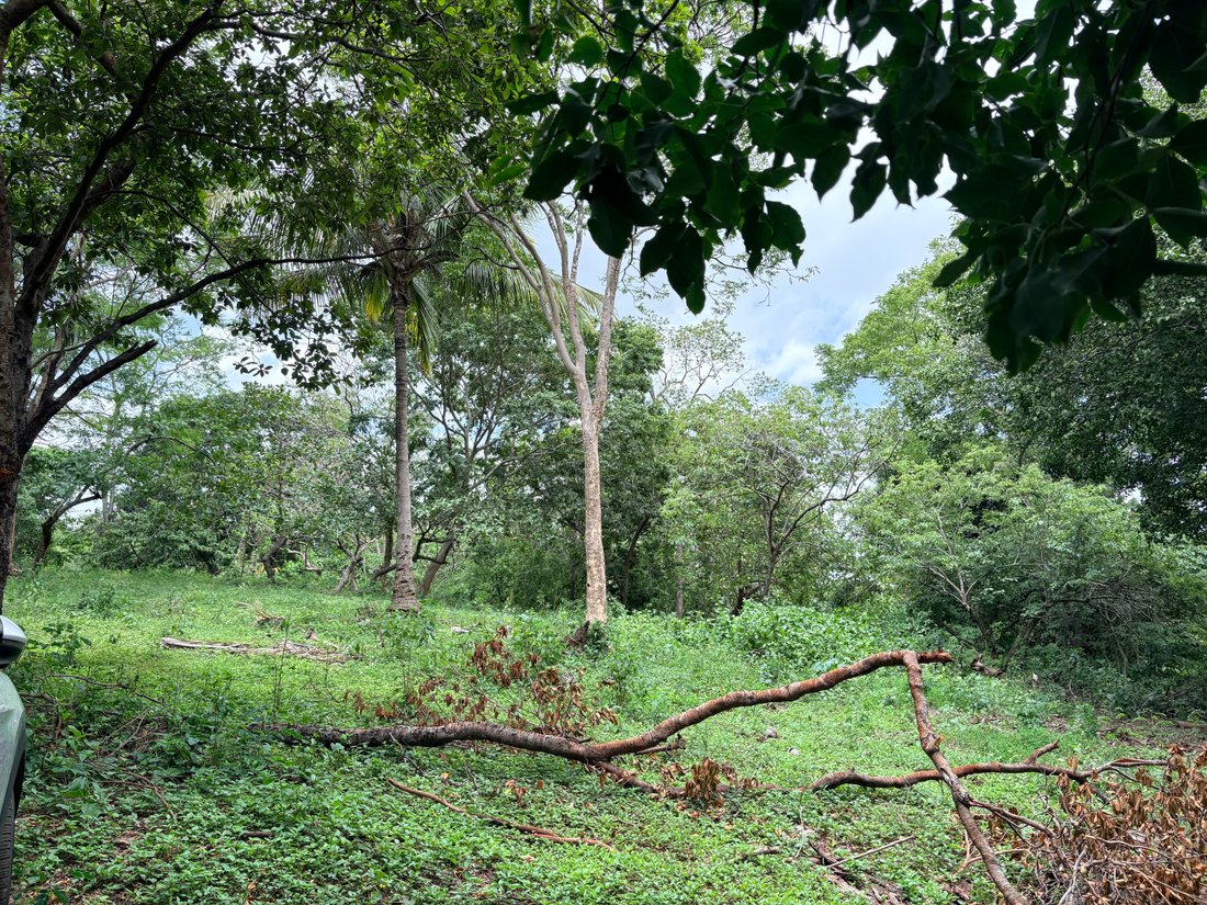 Land in Managua, Managua, Nicaragua 4 - 18942694