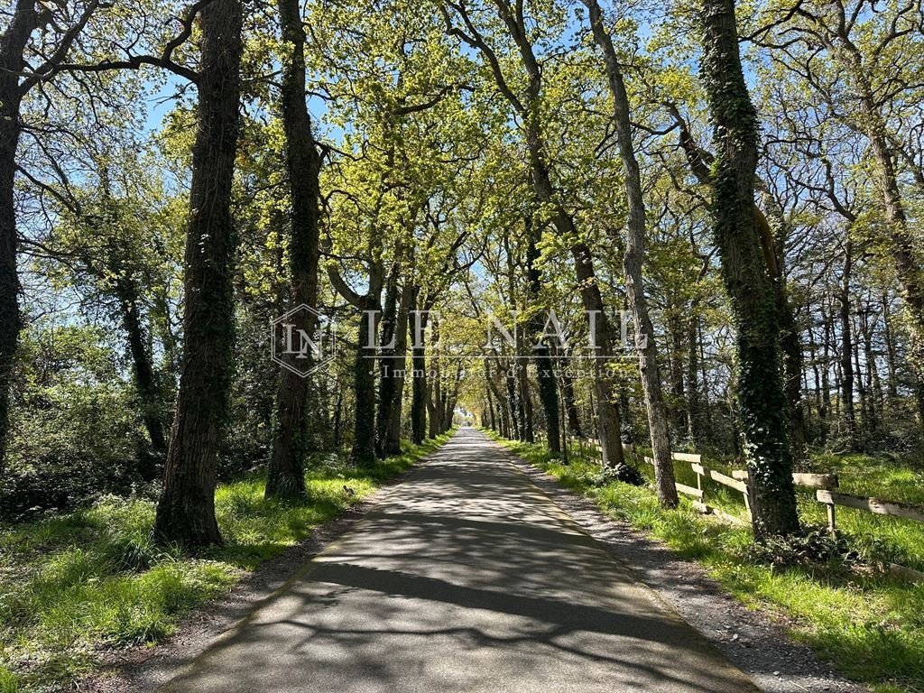 Estate in Guérande, Pays de la Loire, France 4 - 14253654